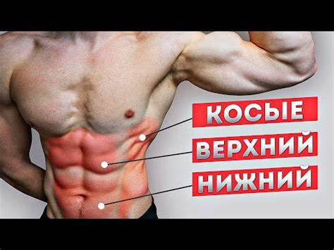 Как накачать пресс и убрать бока мужчине