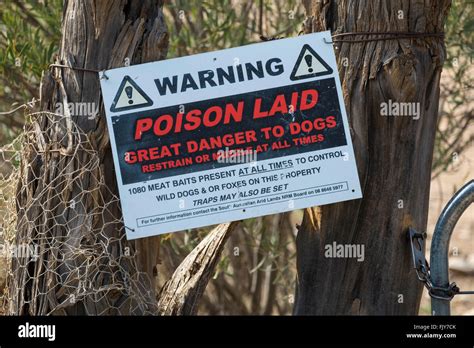 Poison Bait For Wild Dogs And Foxes Warning Sign In The Flinders Ranges