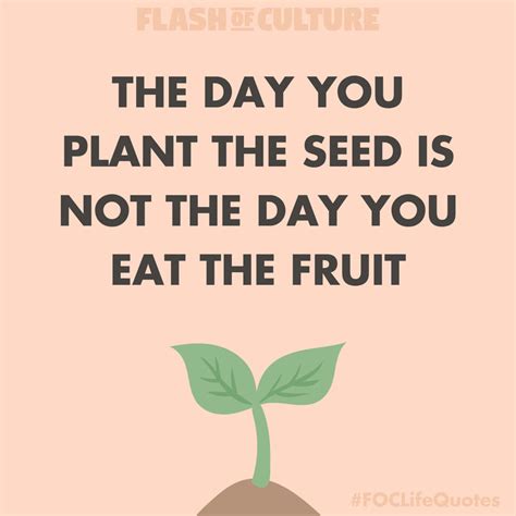 The Day You Plant The Seed Is Not The Day You Eat The Fruit Flash Of