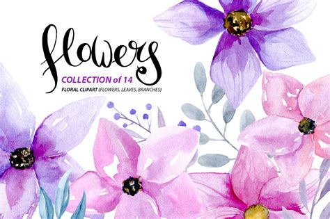 Watercolor Purple And Pink Flowers 21339 Illustrations Design Bundles