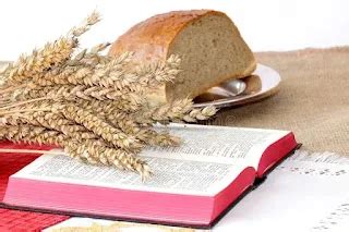 No solo de pan vivirá el hombre prédica escrita Estudios Bíblicos