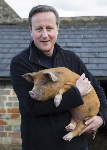 David Cameron Is Accused Of Sticking His Penis In A Dead Pigs Mouth
