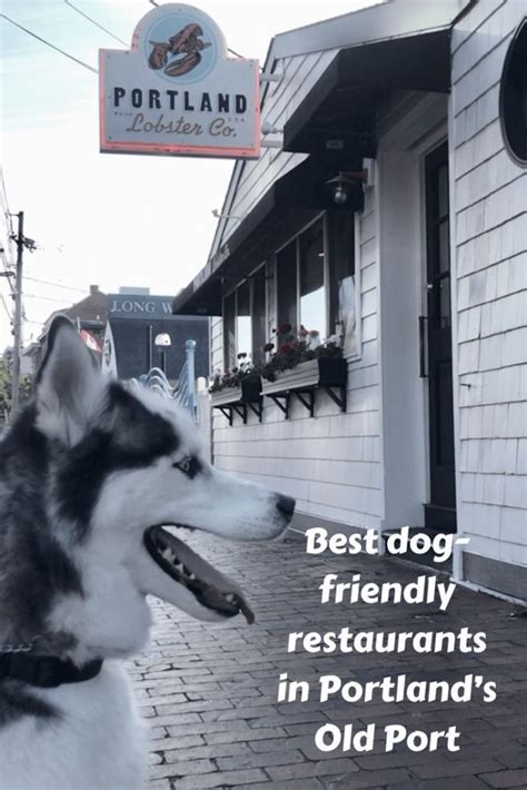 Dimillo's on the water is a floating seafood restaurant with a colorful history. Best Dog-Friendly Restaurants: Portland Maine's Old Port ...