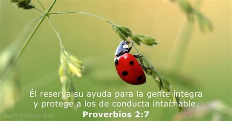 24 De Agosto De 2020 Versículo De La Biblia Del Día Proverbios 27