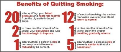 Feel like i have a chronic one european study found that the incidence of workplace accidents increases on no smoking day, a day in which up to 2 million smokers either. Smoking from 5 years. Smoked 5 cigarettes per day for 2 ...