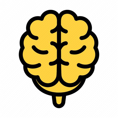 Brain Mind Human Internal Organ Icon Download On Iconfinder
