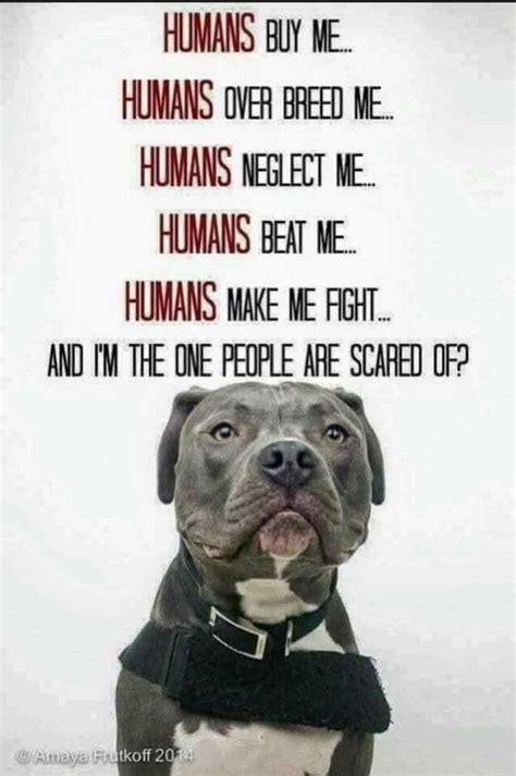 Pin By Gina Barrow On Dogs Pitbull Quotes Dogs Dog Quotes