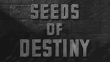 Seeds of Destiny – wo streamen? | StreamPicker