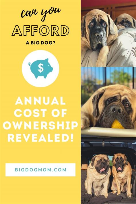 Annual Cost Of Owning A Big Dog Can You Afford One