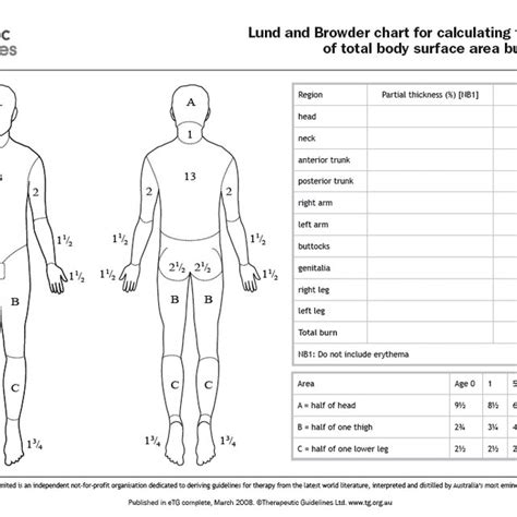 The Lund And Browder Chart For Calculation Of Tbsa Permission To