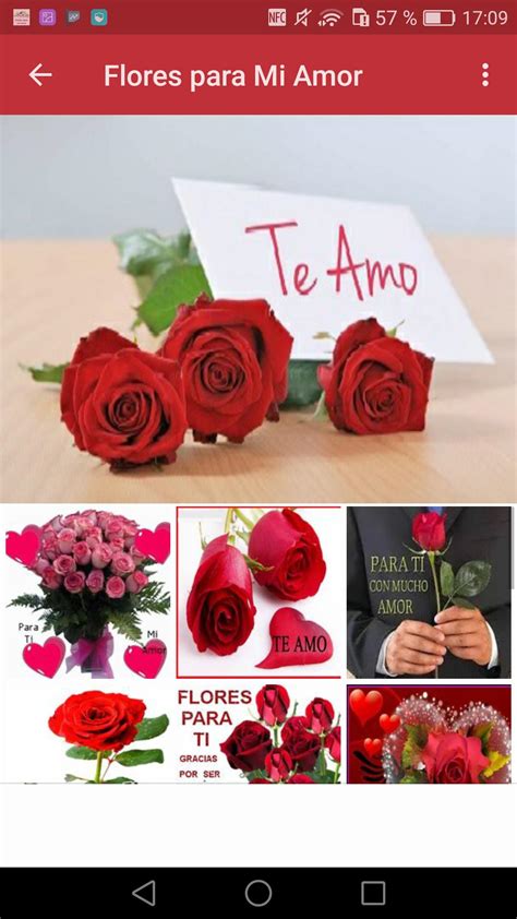 Flores para Mi Amor for Android - APK Download