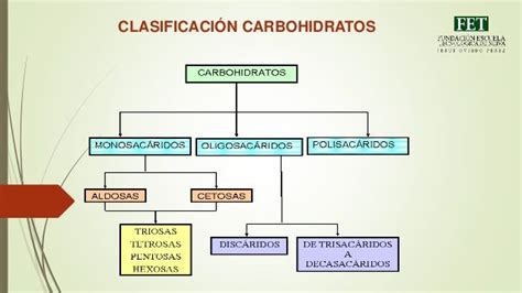 Hidratos De Carbono Clasificacion
