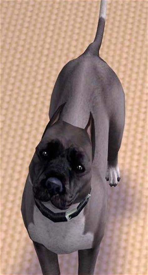 Mod The Sims Blue And White Pitbull Terrier
