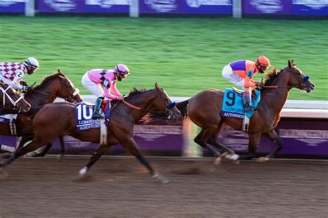 Authentic Wins Breeders Cup Classic Likely To Become Horse Of The