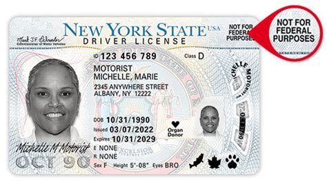 New York Dmv Federal Real Id