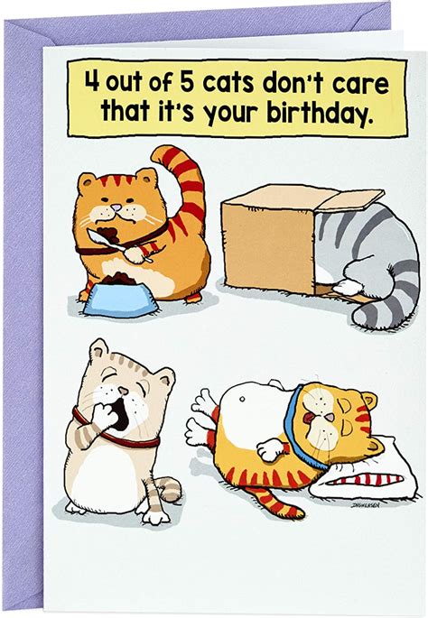Bought Hallmark Shoebox Funny Birthday Card Cats Dont