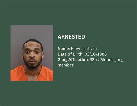 teamHCSO Arrests Multiple in Gang Enforcement Operation | HCSO, Tampa, FL