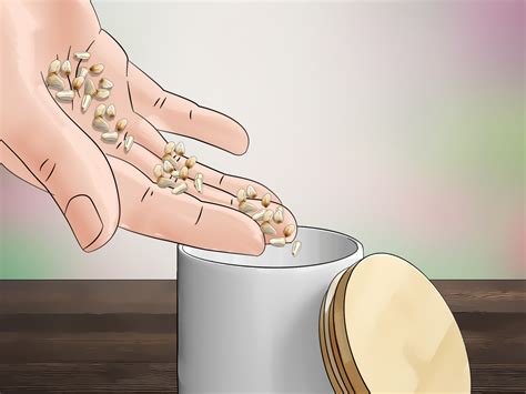How To Plant Safflower Seeds 12 Steps With Pictures Wikihow