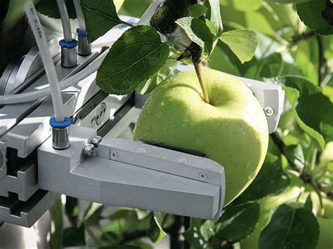 Top 14 Agricultural Robots For Harvesting And Nursery Agriculture