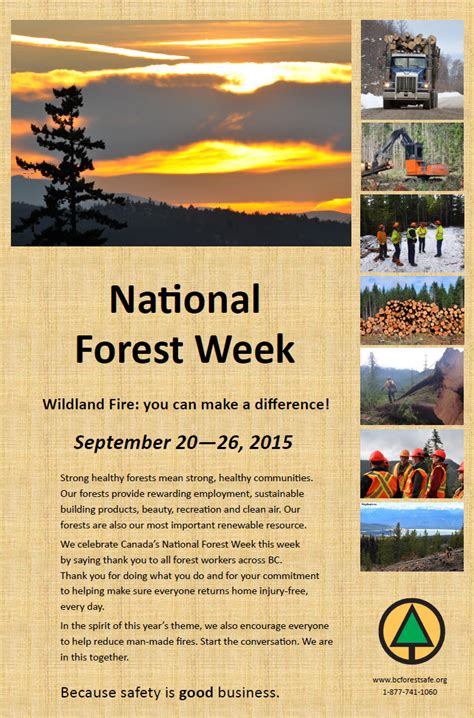 National Forest Week Bc Forest Safety Council