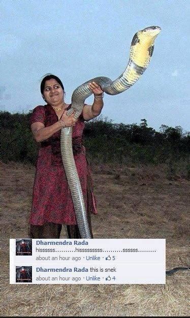 The Largest Venomous And Cannibale Snake In The World Is The King