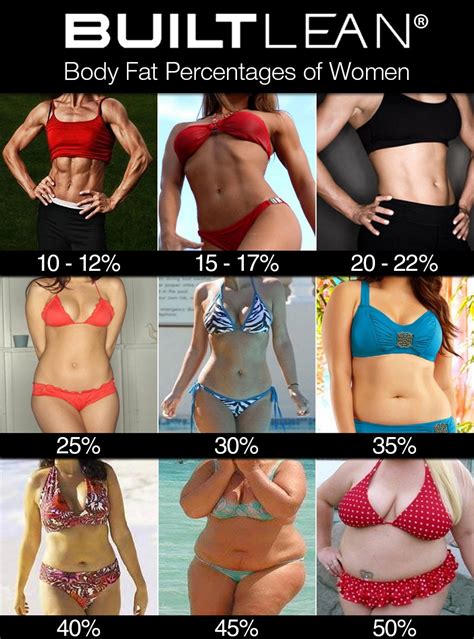Learn about the ideal body fat percentages with charts based on sex, age, and height. What Body Fat Percentages Actually Look Like - Kubex Fitness