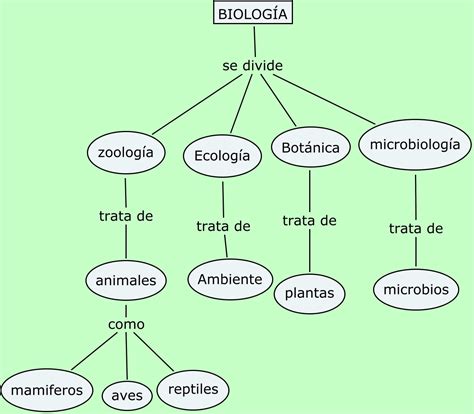 Lenguaje Y Comunicación Mapa Conceptual