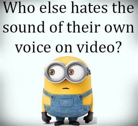Top 40 Minion Jokes Funny Minion Pictures Minion Jokes Funny Minion