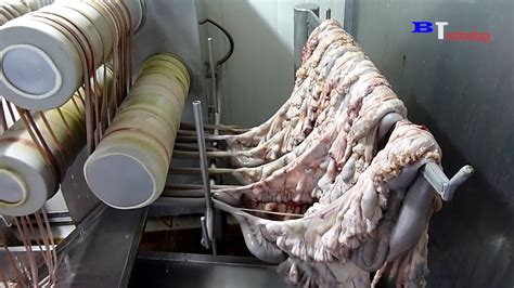 How Are Sausages Produced In Factories Excellent Food Production And