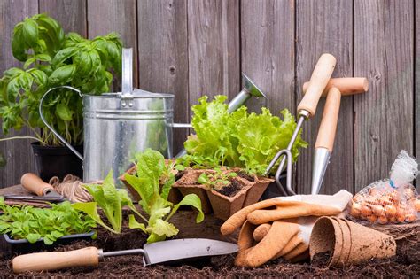 The Best Gardening Tools Ever