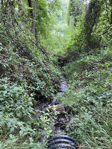 Check spelling or type a new query. Santa Margarita River Trail | The Fashionista Momma