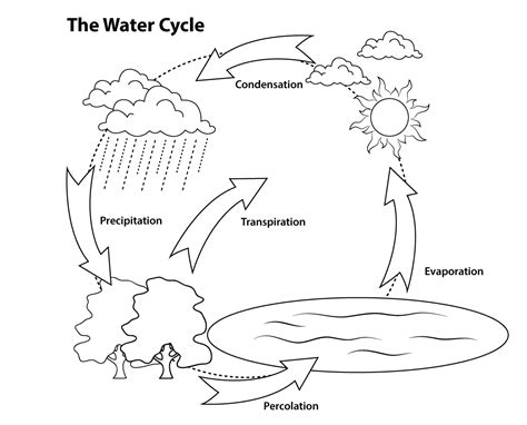 The Water Cycle Diagram Easier For Kids Printable
