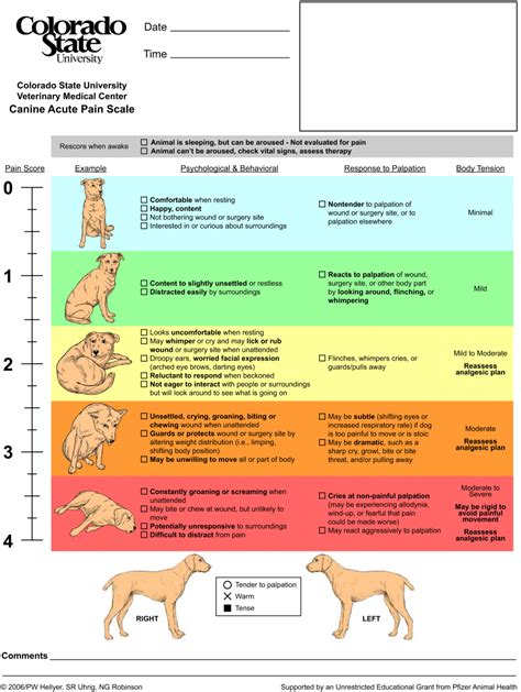 Download These Pain Scales Veterinary Practice News