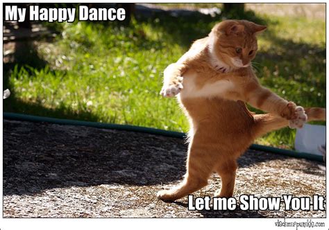 20 Happy Dance Memes That Will Put A Smile On Your Face Sayingimages