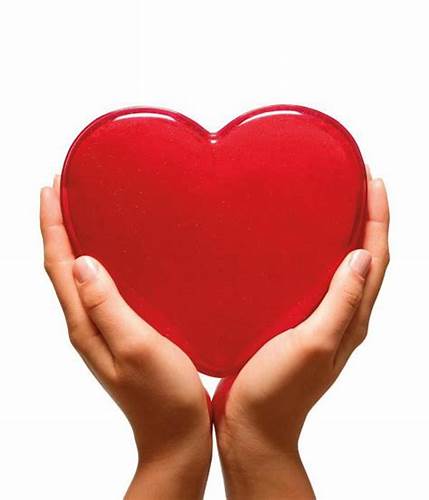 Хроническая недостаточность кровообращения диета Хроническая недостаточность кровообращения: классификация, лечение Хроническая недостаточность кровообращения: классификация, лечение Хроническая недостаточность кровообращения диета