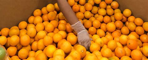 Accepts fruit donations up to 3 milk crates worth or 75 lbs. Food Safety - Food Bank for Monterey County