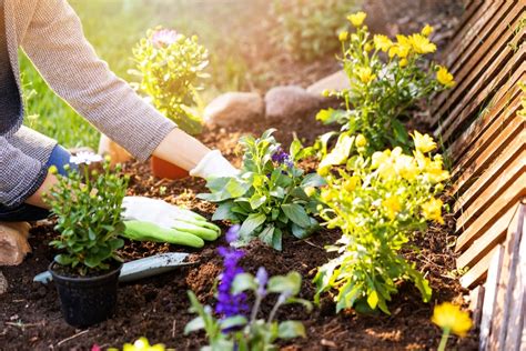 30 Low Maintenance Plants For Your Easiest Garden Ever Bob Vila
