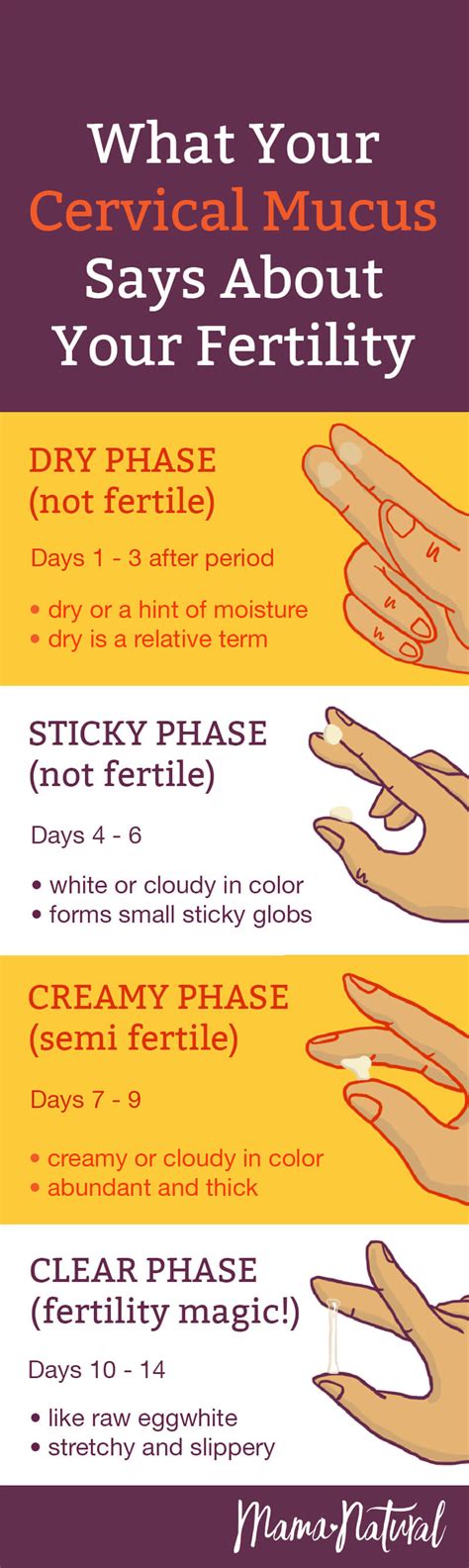 cervical mucus chart know when you re fertile mama natural