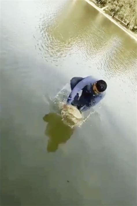 Viral Video Fail Shows Man Trying To Show Off Before Falling In A Lake And Getting Soaking