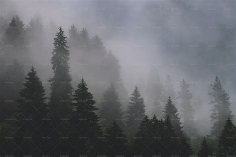 Foggy Forest In The Mountains Stock Photos Motion Array