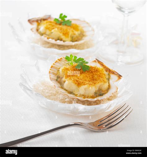 Scallops In Their Shells Stock Photo Alamy