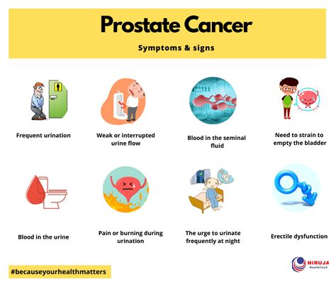 Prostate Cancer Symptoms Signs R Infographics