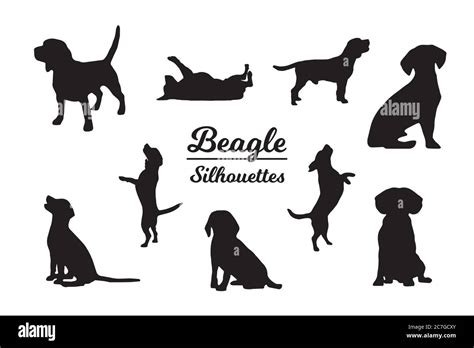 Beagle Dog Silhouettes Stock Vector Image And Art Alamy