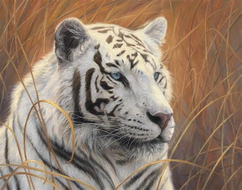 Portrait White Tiger 2 Painting By Lucie Bilodeau
