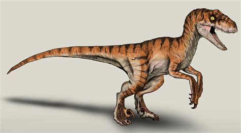 The Lost World Jurassic Park Velociraptor Male By Nikorex On Deviantart