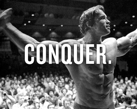 Free Download Beast Motivation Arnold Schwarzenegger Conquer 1680x1050