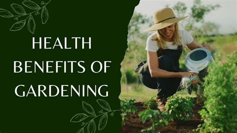 Health Benefits Of Gardening The Katy News