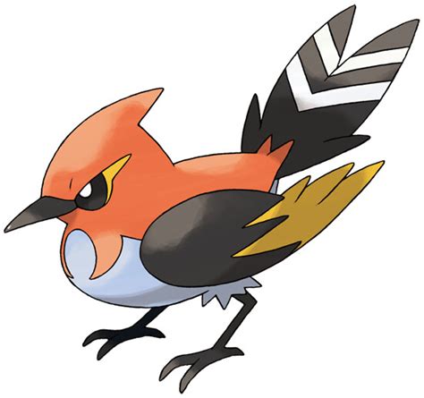 Fletchinder Pokédex Stats Moves Evolution And Locations Pokémon Database