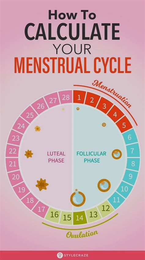 how to calculate ovulation calendar
