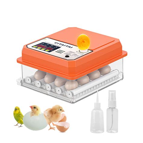 Buy Citaitai Eggs Hatching Incubator Fully Automatic Incubator Temperature Control Humidity